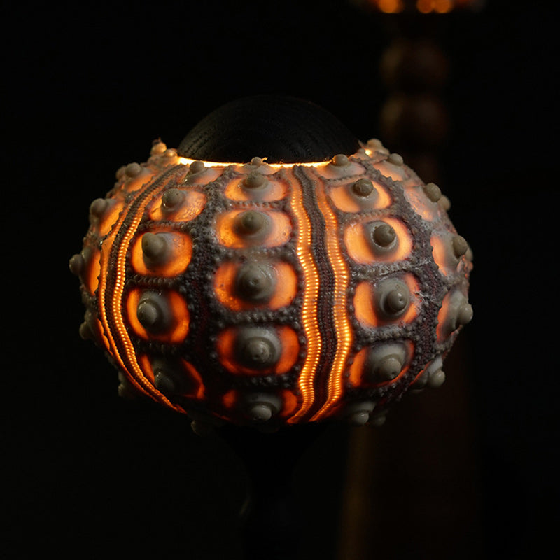 Rechargeable Wood Natural Sea Table Lamp