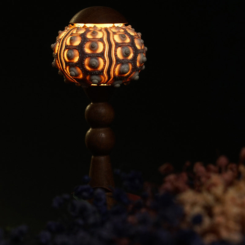 Rechargeable Wood Natural Sea Table Lamp