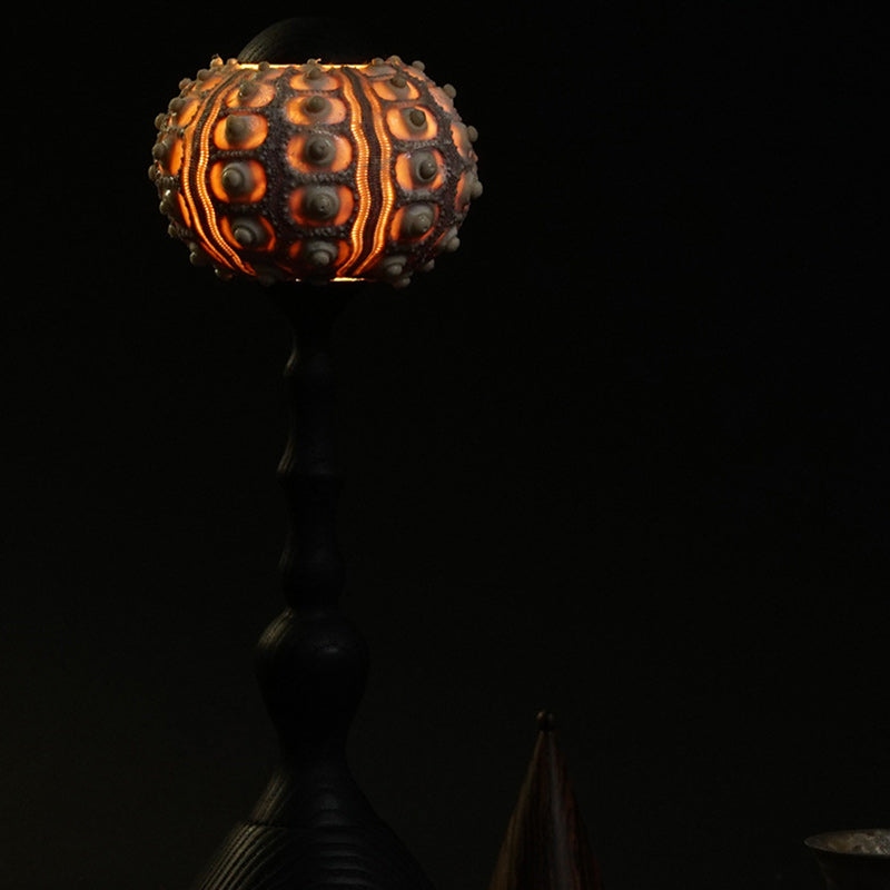 Rechargeable Wood Natural Sea Table Lamp