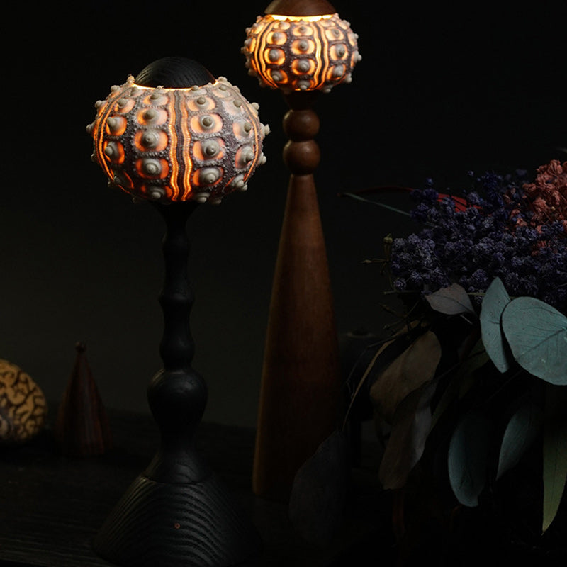 Rechargeable Wood Natural Sea Table Lamp