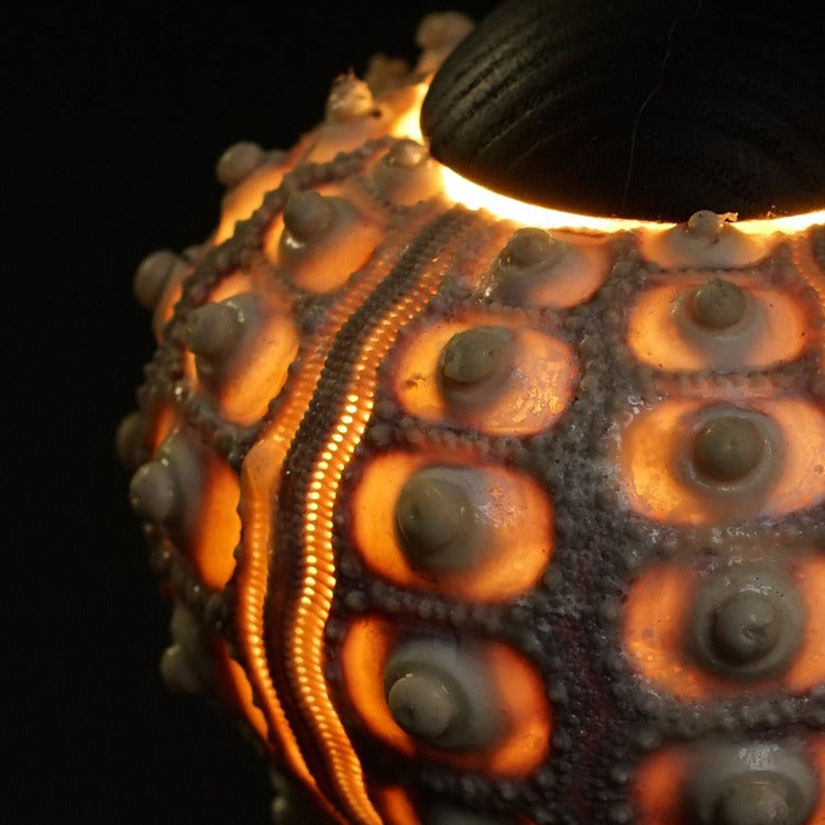 Rechargeable Wood Natural Sea Table Lamp