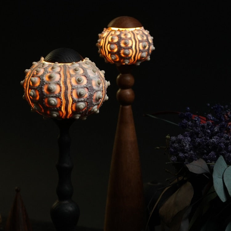 Rechargeable Wood Natural Sea Table Lamp