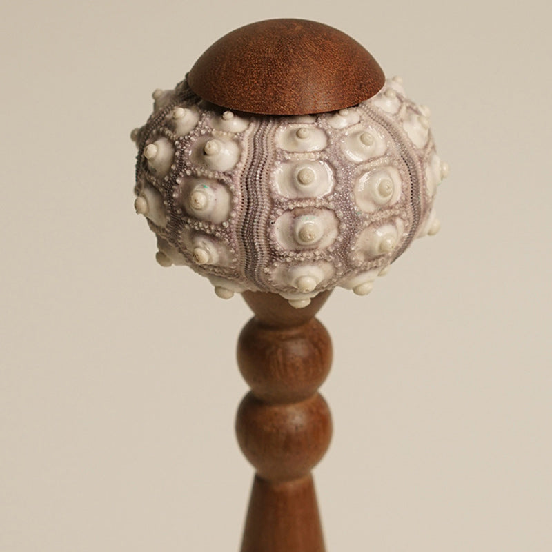 Rechargeable Wood Natural Sea Table Lamp