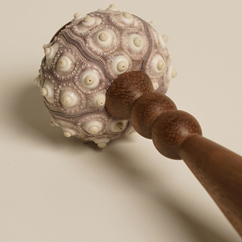 Rechargeable Wood Natural Sea Table Lamp