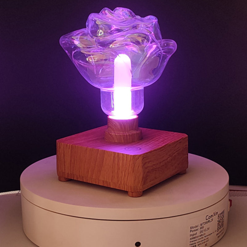 Rechargeable ABS PET Rose Table Lamp