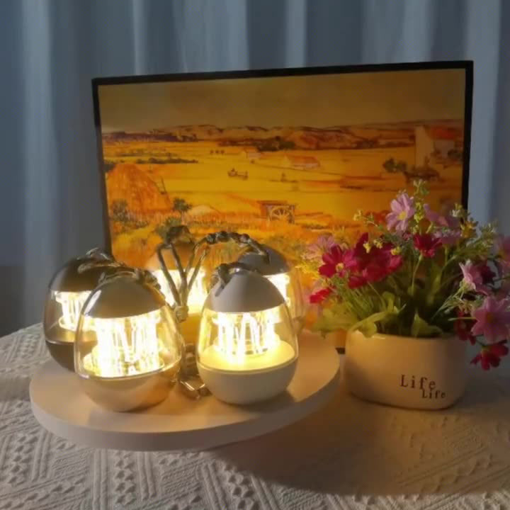 Rechargeable Aluminum Acrylic Egg Table Lamp