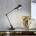 Iron Mechanical Long Arm Table Lamp