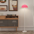 Half Circle Iron Acrylic Floor Lamp