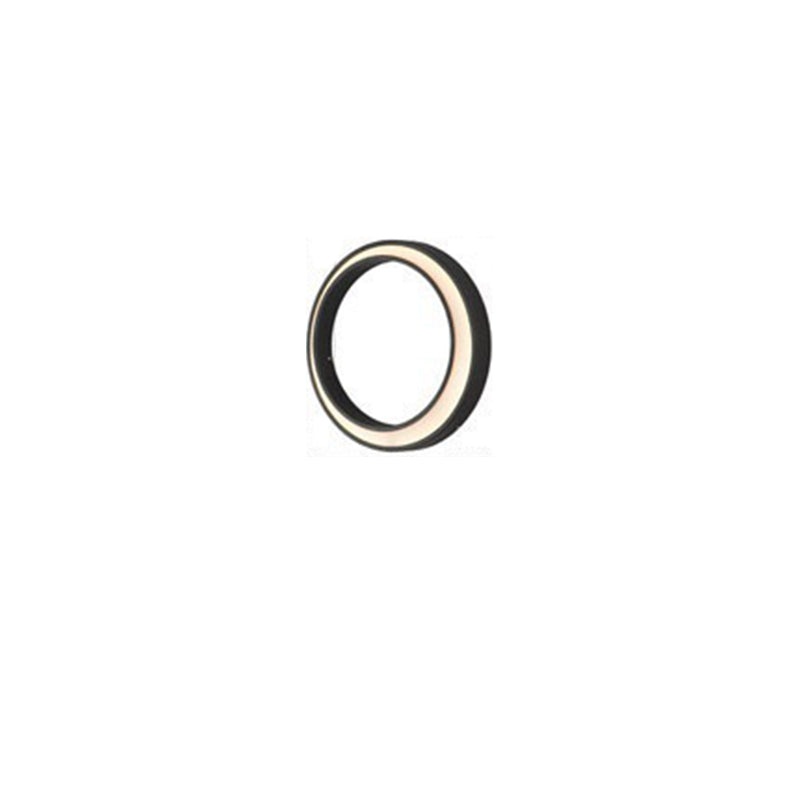 Crescent Circle Stainless Steel Outdoor Light